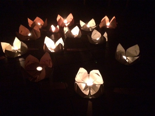 Remembering the light - Falkland Estate