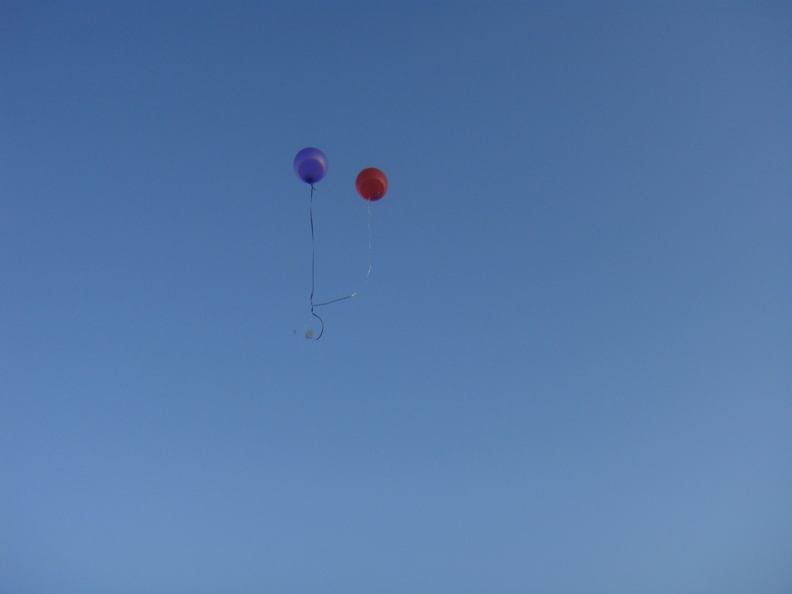 Summerlee House, Coatbridge: Balloon release