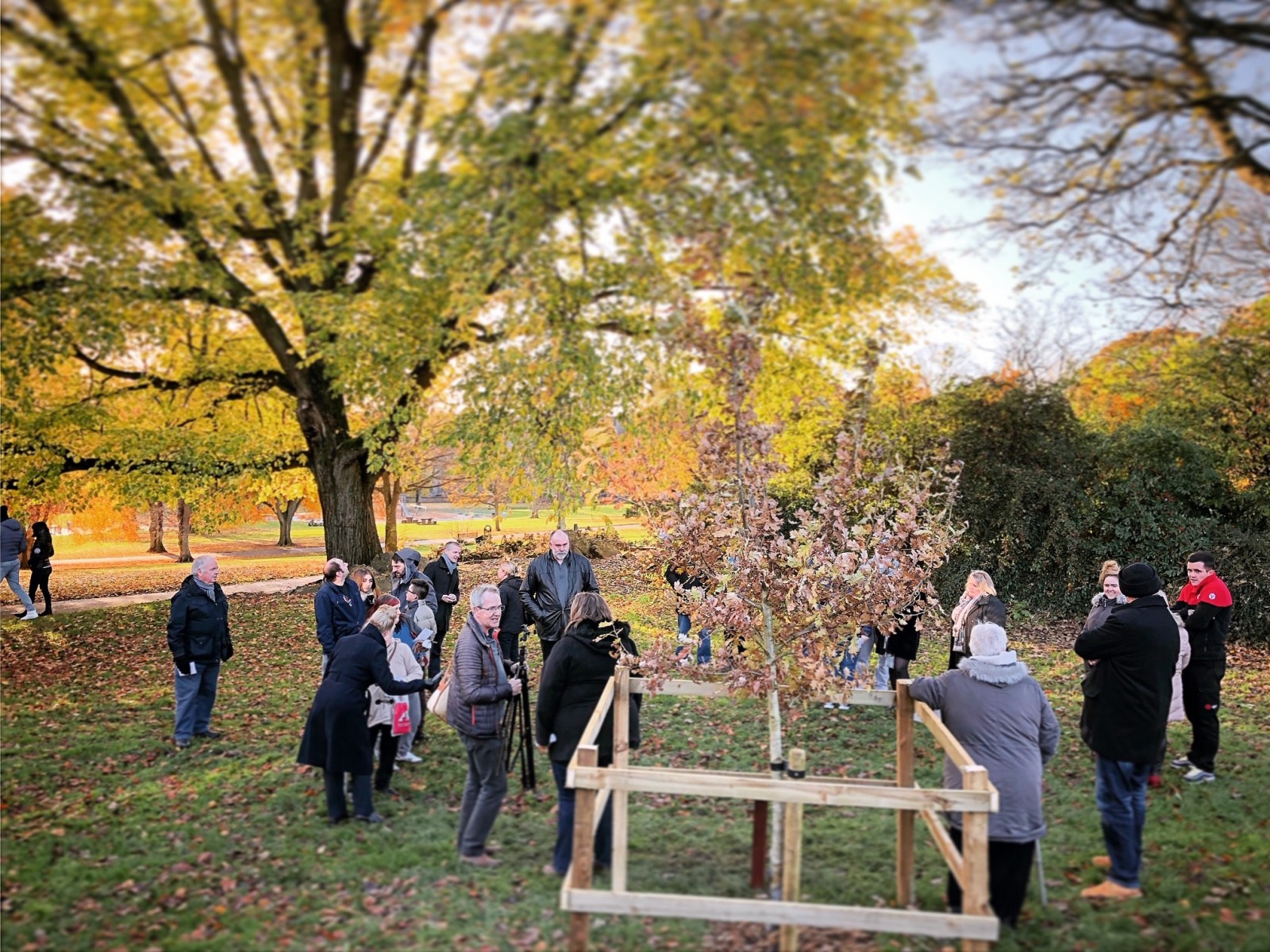 Funeral Link tree planting, Dundee