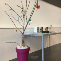 Queen Margaret University & St Columba's Hospice