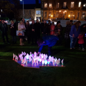 Launch event at Dundee University: Illuminated Lily Garden