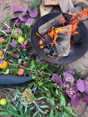 A photo of a small beach campfire in an iron hearth with foliage, flowers and fruit beside it