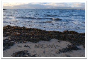 A photograph of a beach at dusk. It looks very calm and quiet.